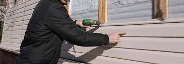 Best Custom Siding Design  in Lenwood, CA